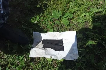 Фото: В Нижегородской области кот пытался пронести наркотики в колонию 1