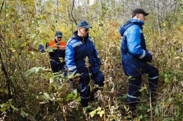 Фото: Волонтёры сообщили о завершении поисков пропавшей в начале недели 66-летней пенсионерки 1