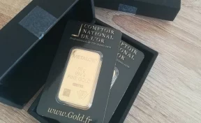 Во Франции мужчине вместо купальника для жены доставили золотые слитки