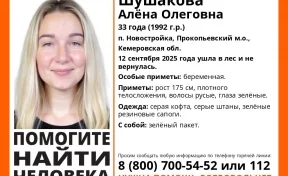 Беременная женщина сутки находится в кузбасском лесу, объявлены её поиски