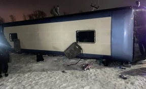 В Воронежской области на трассе автобус упал в кювет, шесть человек пострадали