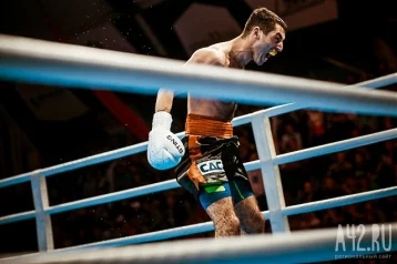 Фото: Миша Алоян проведёт дебютный бой в профессионалах в Кемерове 1