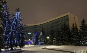 «Сложные погодные условия»: мэр Новокузнецка отменил командировку в Москву