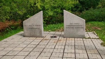 Фото: В Кузбассе задержали двух вандалов, похитивших крест с места захоронения венгерских военнопленных 2