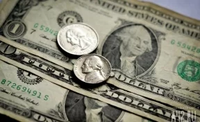 «Повода для беспокойства по-прежнему нет»: Песков прокомментировал рост курса доллара
