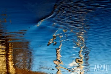 Фото: На Камчатке в реке обнаружены странные отложения 1