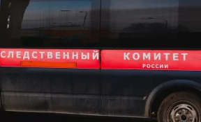 СК: В четырёх российских регионах задержали подростков, планировавших теракты