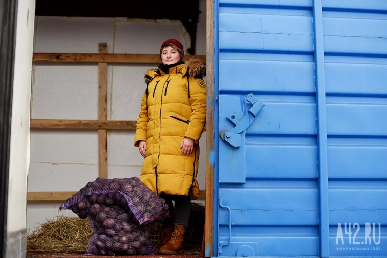 Фото: Наш картофель ждут за рубежом: как фермеры из Кузбасса выходят на международный рынок 6