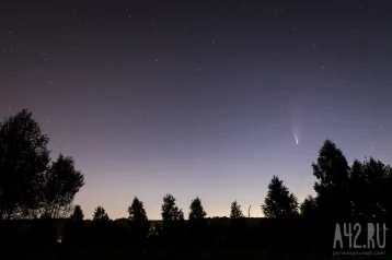 Фото: Запуск космического корабля Starship компании SpaceX снова закончился неудачей 1