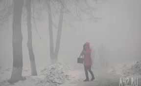 «Настоящее возвращение в зиму»: Вильфанд спрогнозировал сильное похолодание в Кузбассе