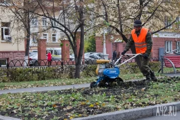 Фото: Власти Кемерова потратят более 188 млн рублей на уход за уличными растениями и содержание фонтанов 1
