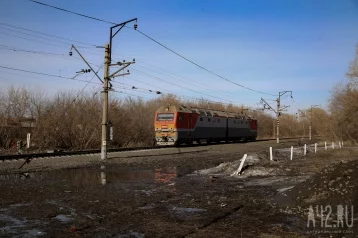 Фото: В Кузбассе грузовой поезд столкнулся с крупным рогатым скотом 1