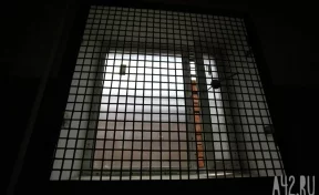 УФСИН: в мордовской тюрьме осуждённого за шпионаж Уилана ударили по лицу 