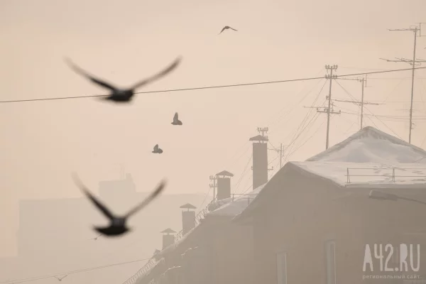 Две ночи подряд почти -40: синоптики рассказали, где в Кузбассе было холоднее всего