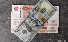 МВД: в Каире США передали России мошенника, обманывавшего банки в Кузбассе