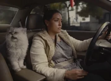 Фото: Сеть взорвал ролик о продаже подержанной машины с котом и кофе 1