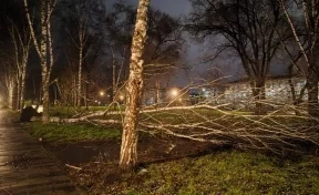 В Новокузнецке из-за штормового ветра произошло массовое отключение электричества