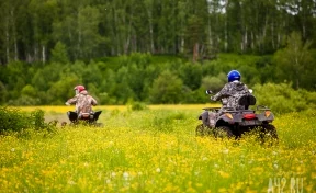 В Кузбассе семья с ребёнком уехала кататься в лес на квадроцикле и заблудилась