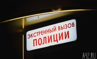 В Новокузнецке за шум оштрафовали женщину с тяпкой