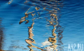 Число жертв наводнений в Индонезии выросло до 1000 человек