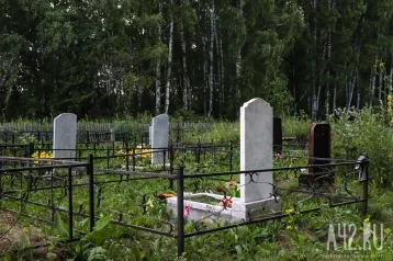 Фото: В Подмосковье пропавших отца и сына нашли мёртвыми на кладбище 1