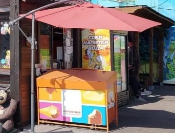 Фото: В Прокопьевске две девочки-подростка украли и съели 77 упаковок мороженого 1
