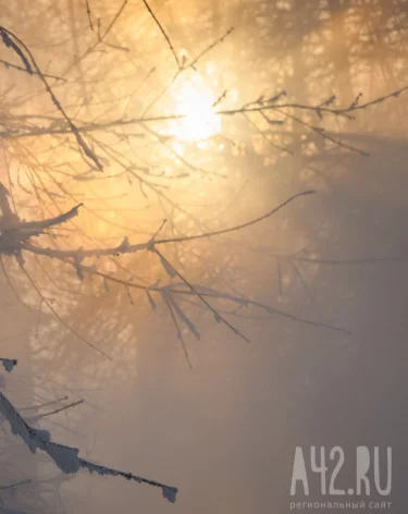 Синоптики пообещали похолодание до -40 в Кузбассе