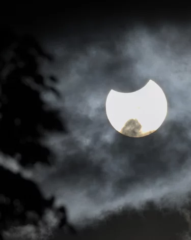 Силы ПВО за ночь сбили 20 БПЛА над российскими регионами