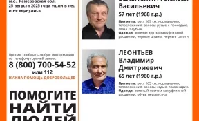 Двое мужчин пропали в лесу в Тисульском округе