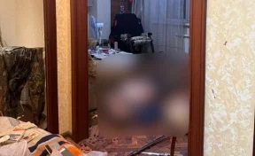 В Новосибирской области отец убил пришедшего в гости сына