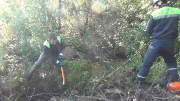 Фото: В Кемерове спасатели очистили ручей от бобровых плотин и затора 1