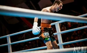 Миша Алоян проведёт дебютный бой в профессионалах в Кемерове