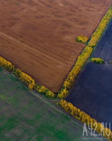 Фото: A42.RU
