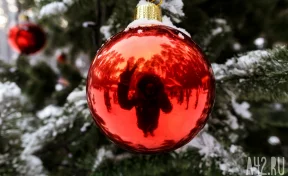 Кемеровчане назвали худшие новогодние подарки