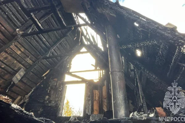 В Ленинградской области женщина задохнулась во время пожара