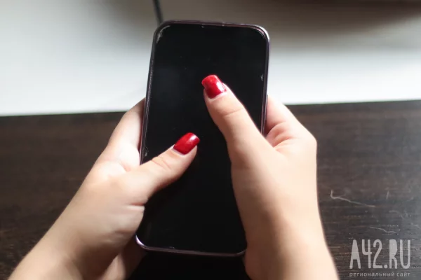 Руководство WhatsApp* выпустило заявление о блокировке мессенджера в России