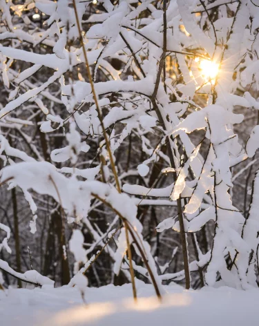 Специалисты назвали самое холодное место на Земле 1 января