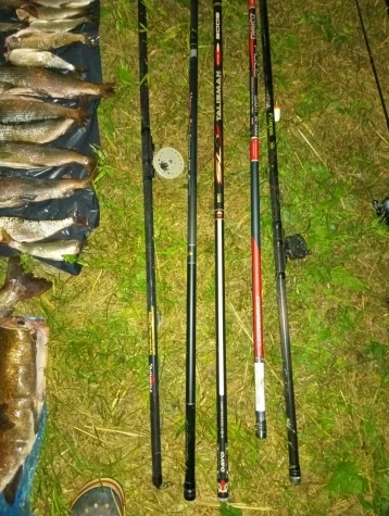 Фото: В Кузбассе группа браконьеров рыбачила в заказнике: ущерб превысил полмиллиона рублей 2