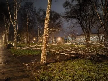 Фото: В Новокузнецке из-за штормового ветра произошло массовое отключение электричества 1