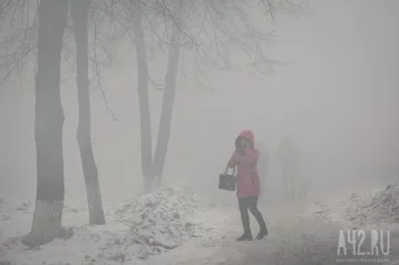 Фото: «Настоящее возвращение в зиму»: Вильфанд спрогнозировал сильное похолодание в Кузбассе 1