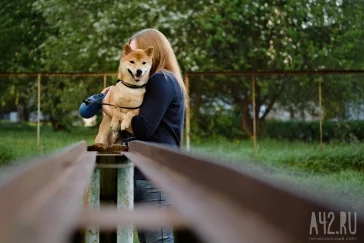 Фото: Собачья радость: тест площадок для выгула животных в Кемерове  13