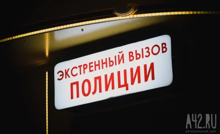 В Кузбассе грабителя нашли благодаря укусу 83-летней женщины