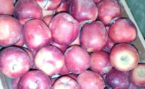 В Кузбасс ввезли 45 тонн свежих овощей из Средней Азии