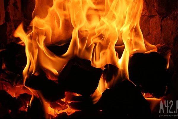 Соцсети: две собаки и две кошки погибли в пожаре в деревне под Кемеровом