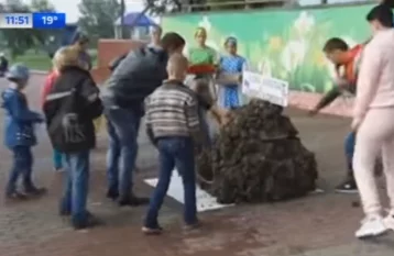 Фото: Кузбассовцы собрали самую большую колючку в честь Дня лопуха 1