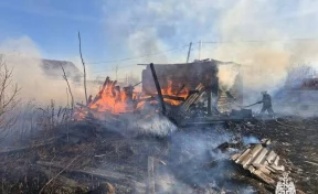 В Костромской области при пожаре погибли три человека