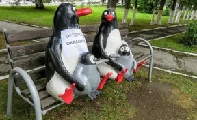 В Кемерово вернулись пингвины
