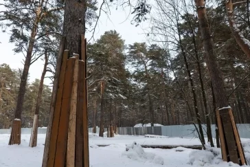 Фото: В Кемерове снесли старый корпус спортшколы в Рудничном бору 2