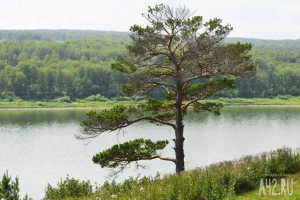 В Кузбассе в 2026 году появятся новые туристические направления