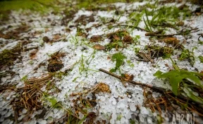 «Урожаю пипец»: юг Кузбасса накрыл крупный град